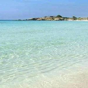 Villa Singola Amanda - 500M Dal Mare Pulsano Esterno foto